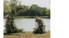 Small Harmony Arch rental in Fort Collins-Loveland, CO