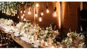 Edison Bulb Hanging Light Strand  rental Fort Collins-Loveland, CO