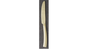 Champagne Dinner Knife rental Fort Collins-Loveland, CO