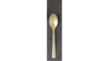 Champagne Teaspoon  rental in Fort Collins-Loveland, CO