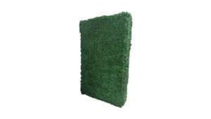 Boxwood Wall rental Lafayette, LA