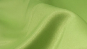 Lamour Matte Satin - Puchi Lime 742 - 96 Rnd rental San Antonio, TX