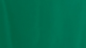 Polyester - Emerald - 108x156 rental San Antonio, TX