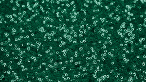 Glitz Sequin - Emerald Green - 108x108 rental San Antonio, TX