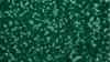 Glitz Sequin - Emerald Green - 120x120 rental in San Antonio, TX