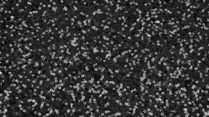 Glitz Sequin - Black - 85x85 rental San Antonio, TX