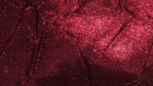 Crush Bichon - Burgundy 628 - 132 Rnd rental San Antonio, TX