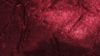 Crush Bichon - Burgundy 628 - 8 x 108 (Sash) rental in San Antonio, TX