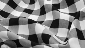 Gingham Check - Black & White - Napkin rental San Antonio, TX