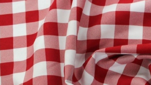 Gingham Check - Red & White - Napkin rental San Antonio, TX