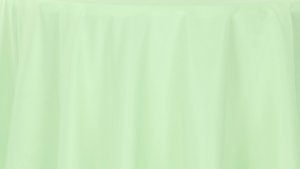 Polyester - Mint - 108x156 rental San Antonio, TX