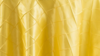 Pintuck - Canary Yellow - 120 Rnd rental in San Antonio, TX