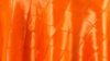 Pintuck - Hot Orange - 108 Rnd rental in San Antonio, TX