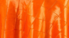 Pintuck - Hot Orange - 120 Rnd rental in San Antonio, TX