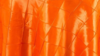 Pintuck - Hot Orange - 96 Rnd rental in San Antonio, TX