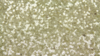 Glitz Sequin - Ivory Gold - 108 Rnd rental in San Antonio, TX