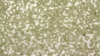 Glitz Sequin - Ivory Gold - 120x120 rental in San Antonio, TX