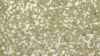 Glitz Sequin - Ivory Gold - 13 x 120 (Runner) rental in San Antonio, TX