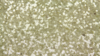 Glitz Sequin - Ivory Gold - 54x54 rental in San Antonio, TX