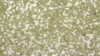 Glitz Sequin - Ivory Gold - 85x85 rental in San Antonio, TX