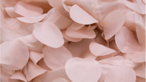 Petal Taffeta - Blush - 90x132 rental San Antonio, TX