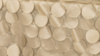 Petal Taffeta - Champagne - 108 Rnd rental in San Antonio, TX