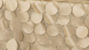 Petal Taffeta - Champagne - 108x156 rental in San Antonio, TX