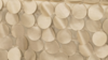 Petal Taffeta - Champagne - 13 x 120 (Runner) rental in San Antonio, TX