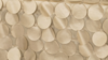 Petal Taffeta - Champagne - 6 x 108 (Sash) rental in San Antonio, TX