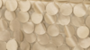 Petal Taffeta - Champagne - 8 x 108 (Sash) rental in San Antonio, TX
