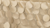 Petal Taffeta - Champagne - 90x156 rental in San Antonio, TX