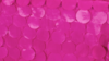 Petal Taffeta - Fuchsia - 108x156 rental in San Antonio, TX