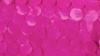 Petal Taffeta - Fuchsia - 120x156 rental in San Antonio, TX