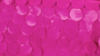 Petal Taffeta - Fuchsia - 13 x 120 (Runner) rental in San Antonio, TX
