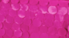 Petal Taffeta - Fuchsia - 132 Rnd rental in San Antonio, TX