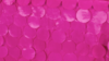 Petal Taffeta - Fuchsia - 8 x 108 (Sash) rental in San Antonio, TX