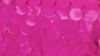 Petal Taffeta - Fuchsia - 90x90 rental in San Antonio, TX
