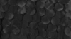 Petal Taffeta - Black - 120 Rnd rental in San Antonio, TX