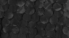 Petal Taffeta - Black - 6 x 108 (Sash) rental in San Antonio, TX