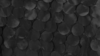 Petal Taffeta - Black - 90x90 rental in San Antonio, TX