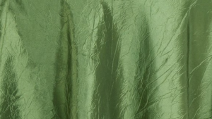 Crush - Clover Green - 132 Rnd rental San Antonio, TX