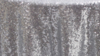 Glitz Sequin - Silver - 108x108 rental in San Antonio, TX