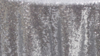 Glitz Sequin - Silver - 108 Rnd rental in San Antonio, TX