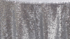 Glitz Sequin - Silver - 85x85 rental in San Antonio, TX