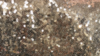 Glitz Sequin - Glamour Gold - 108 Rnd rental in San Antonio, TX