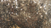 Glitz Sequin - Glamour Gold - 108x108 rental in San Antonio, TX