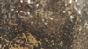 Glitz Sequin - Glamour Gold - 72x72 rental in San Antonio, TX