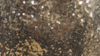 Glitz Sequin - Glamour Gold - 8 x 108 (Sash) rental in San Antonio, TX