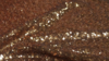Matte Sequin - Copper - 120 Rnd rental in San Antonio, TX