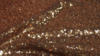 Matte Sequin - Copper - 90x90 rental in San Antonio, TX